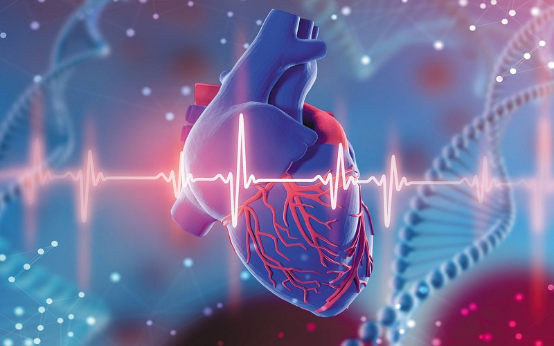 Genetics And Heart Disease